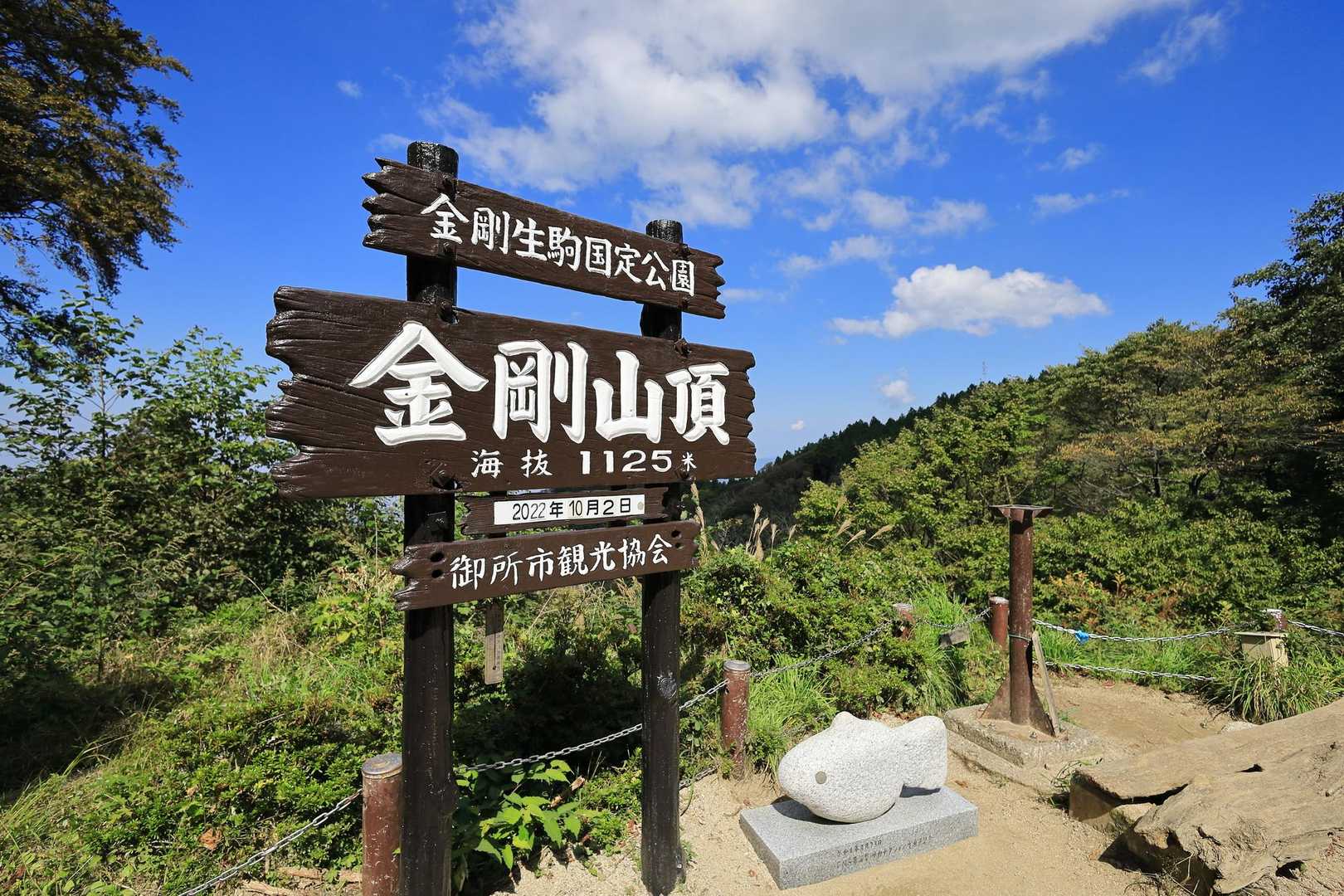 山のおもてなし｜千早本道から登る金剛山王道登山の写真