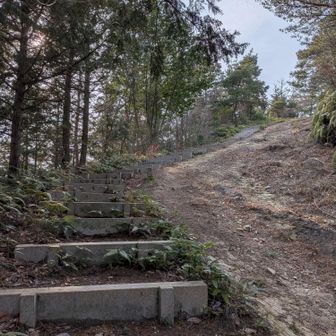 長い階段や、
急登を登ったり下ったりの繰り返しが、
山頂まで続きました😤