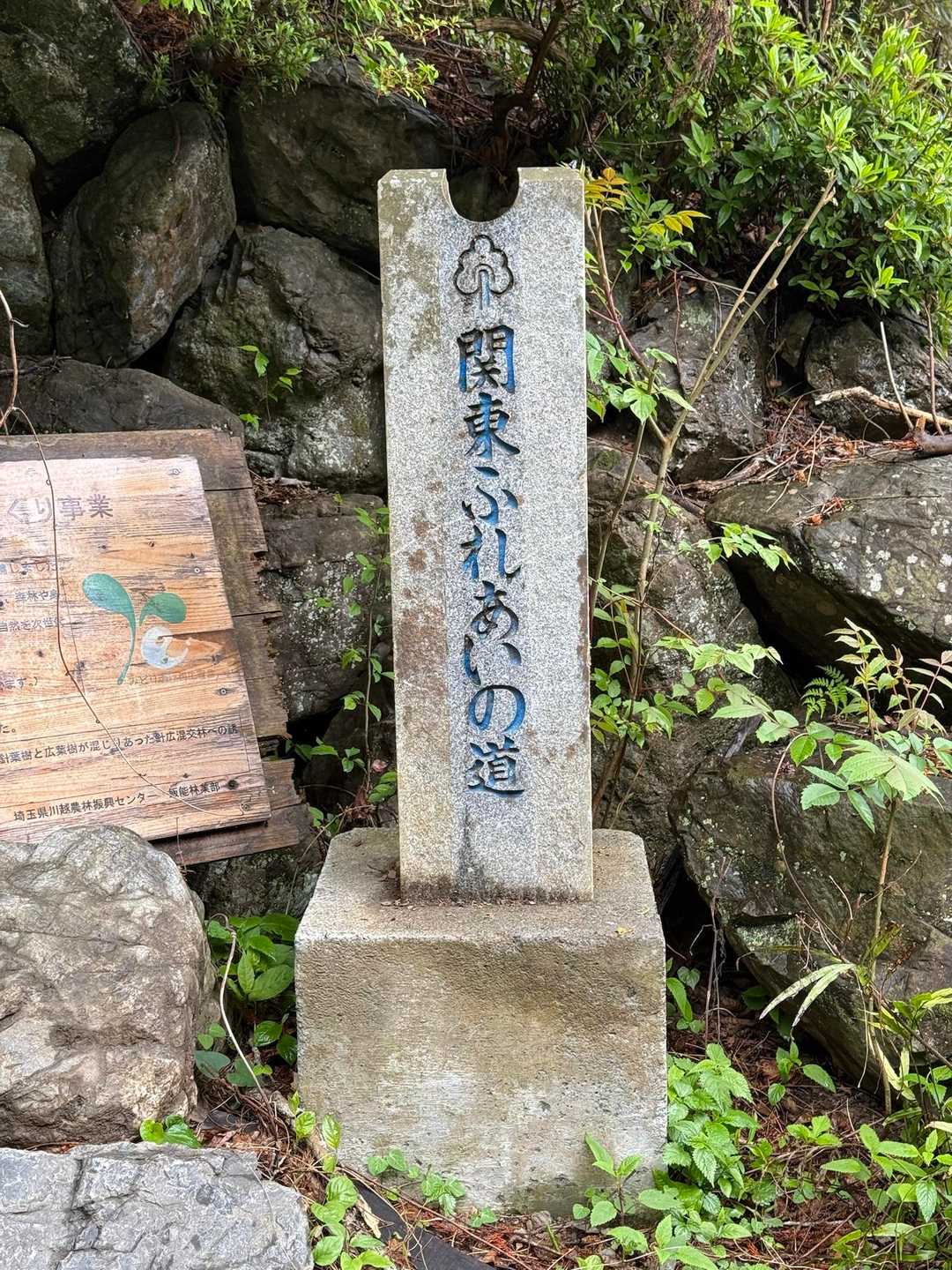 さわらびの湯バス停〜御嶽駅｜棒ノ嶺・岩茸石山・惣岳山縦走コースの写真