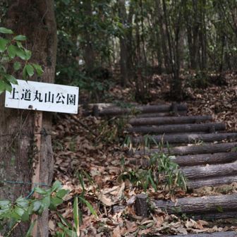 まずは、おまけの丸山ピークへ。
登山道に最近のものと思われる
お菓子などのゴミが目について
とても残念な気持ちになる😖
ちょい荒れ気味で幸先悪い気分…😵‍💫 💦

ってか、「ゴミ散らかす人、山に来るなやっ！」
（いけませんわっ🤭お口が悪うございます🤐
偉そうなこと言ってるけど
ゴミ拾いしなかった自分もよくない🙇‍♀️）