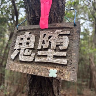 私は“おにだら”だと思ってましたが、正式には“きおとし”   と読みます👹