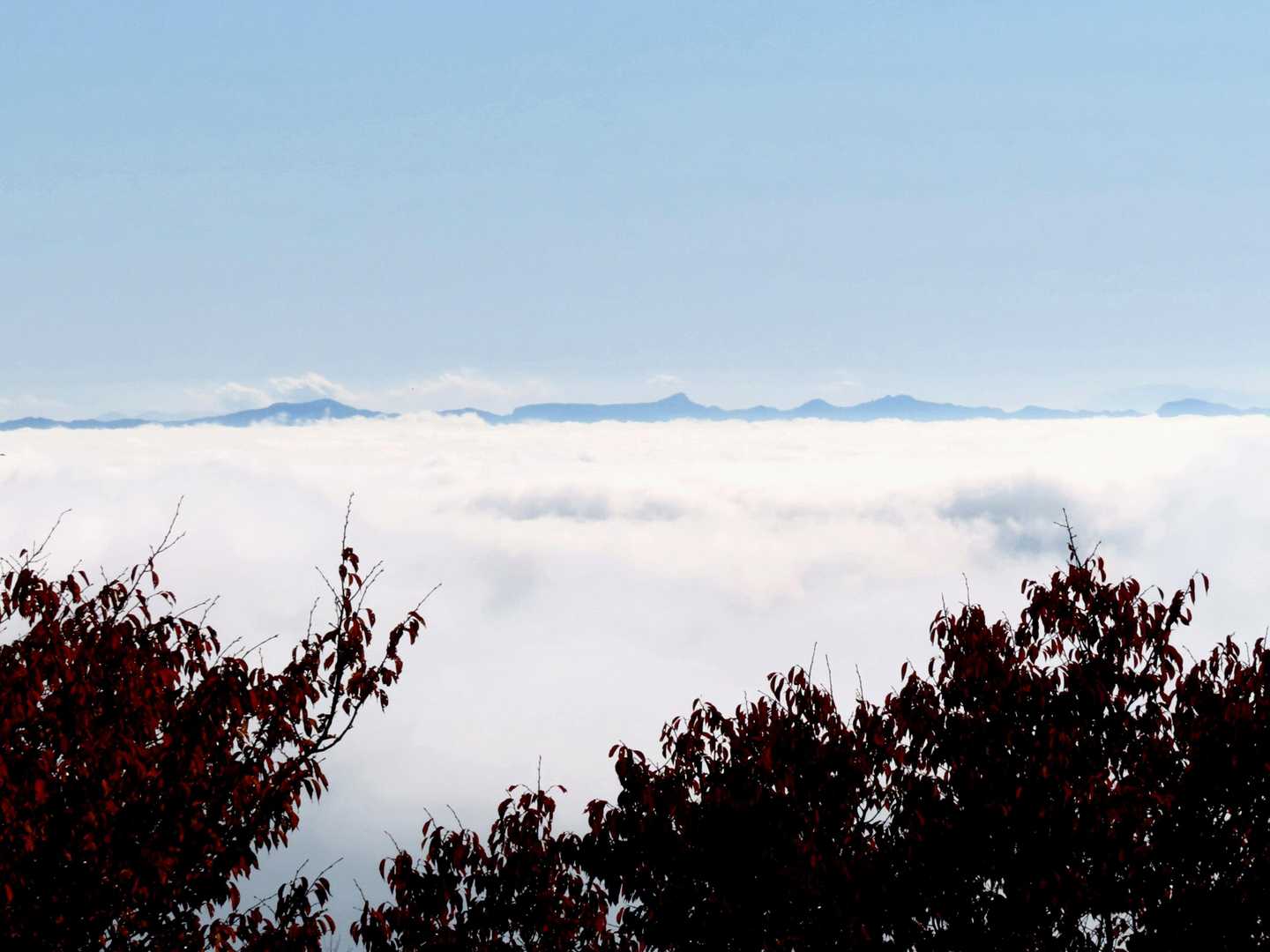 雲海の上に佐久方面の山並み。中央は荒船山台地