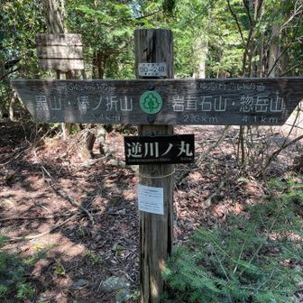 逆川ノ丸山頂にとうちゃく
登り返しの繰り返しが辛い💦🤣
計画より16分早いが、前回より9分遅い

