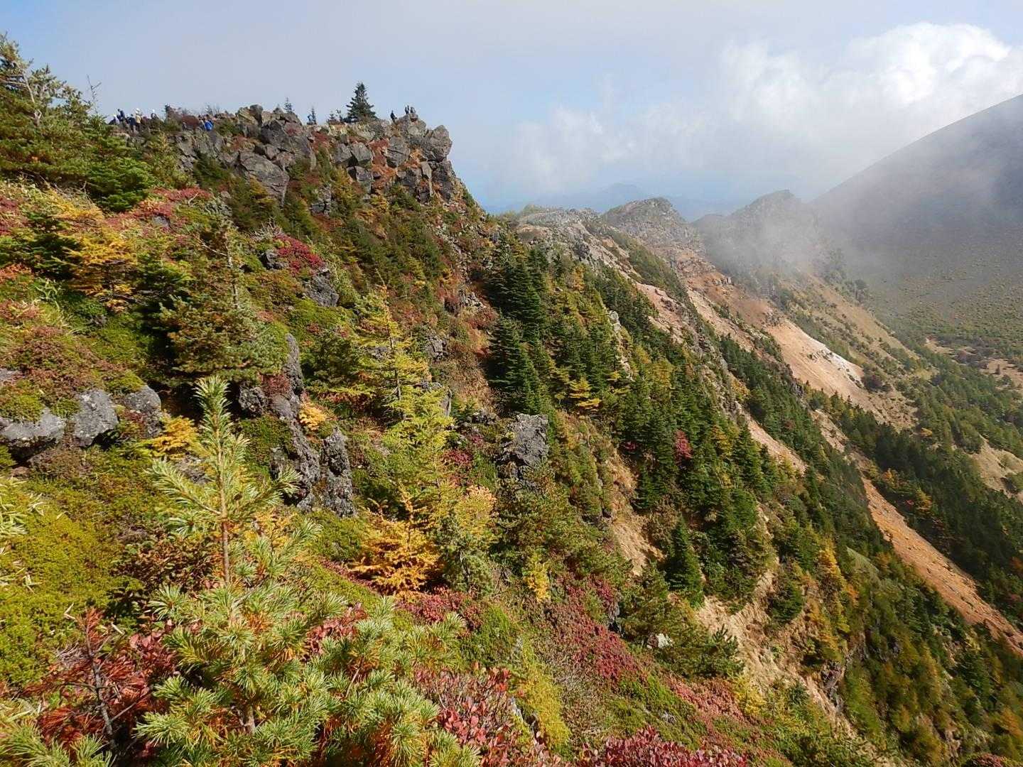 紅葉が(黄葉)素敵😍