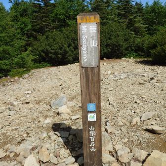 笹山南峰(北峰から10分)
・日本百高山
・山梨百名山 #98