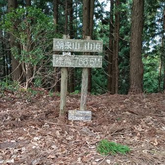 朝来山山頂。登山道はなかなか急です