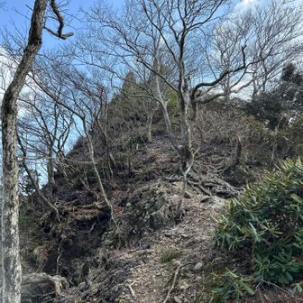 まだまだ〜って🤪