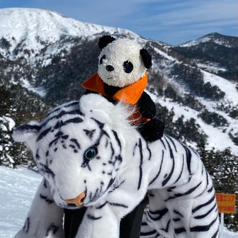 初心者かんてつ