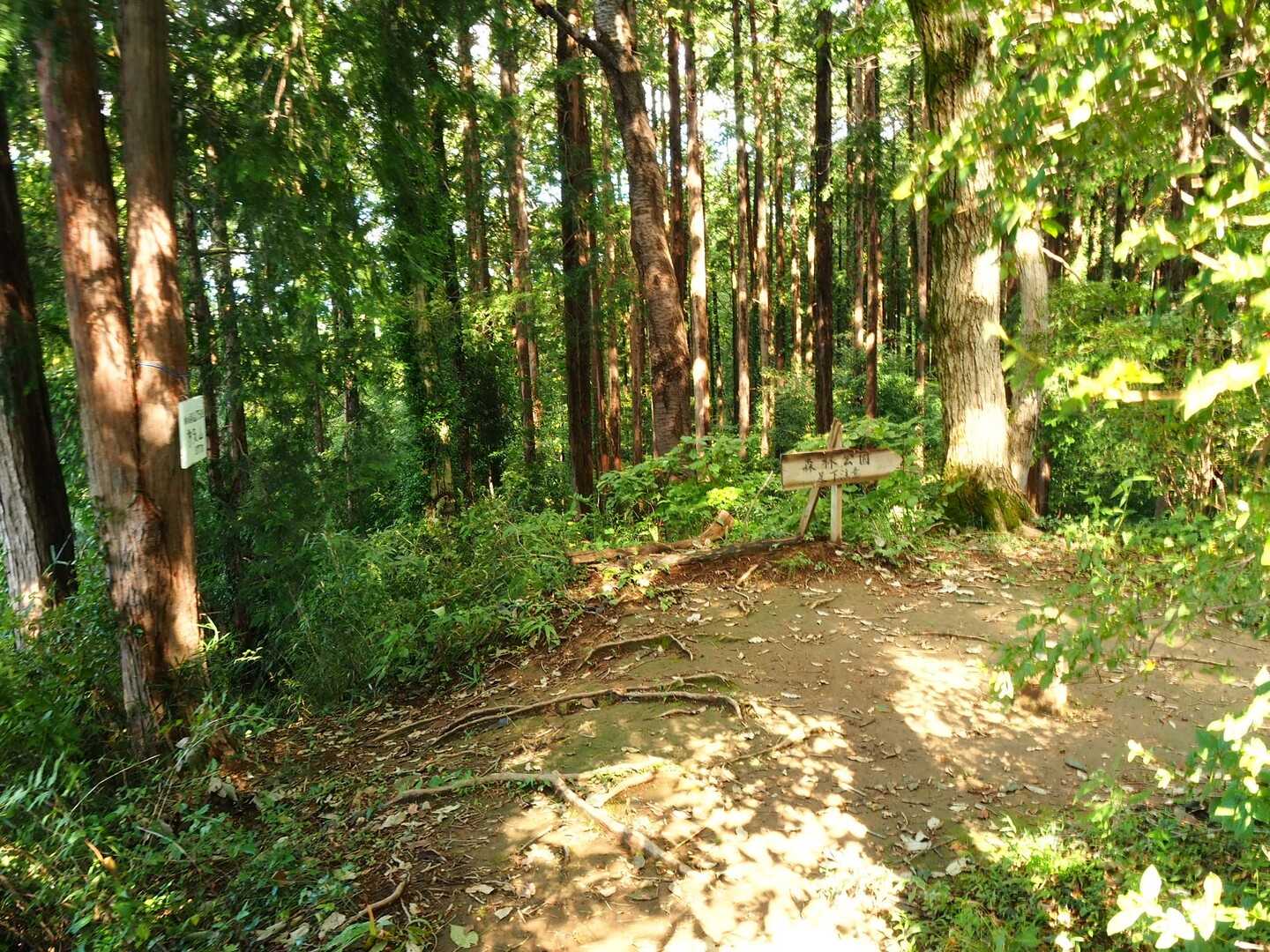 多気山の写真