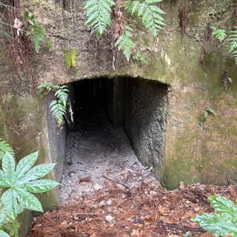 ここに繋がってるんか？定年後住んでみようかな