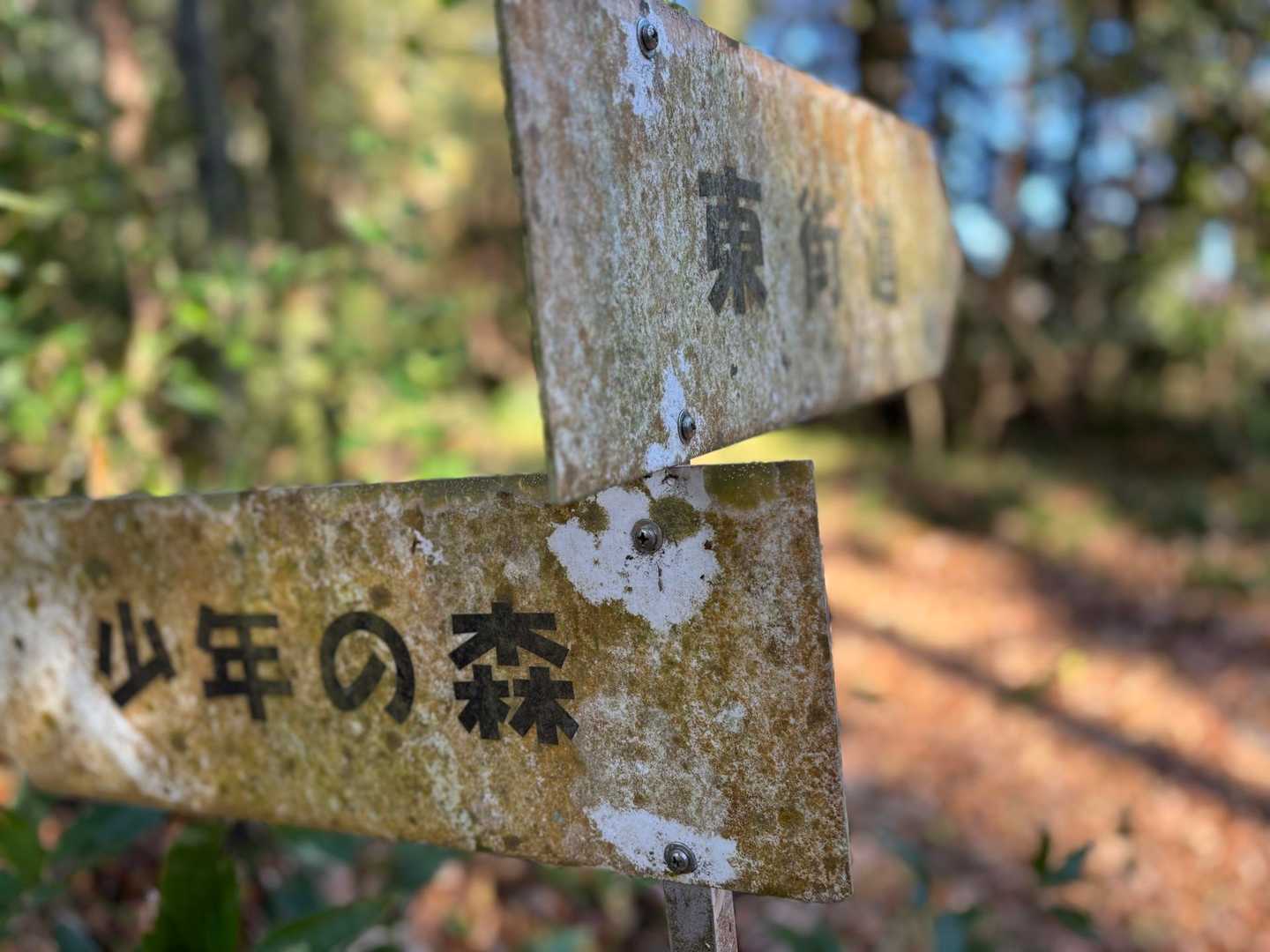 なんかさ、構図も違うよね〜　って話しながらアップで撮ってみるも？