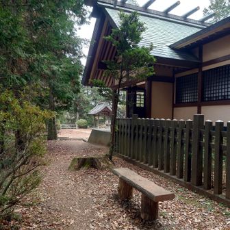 神社脇より下山ー