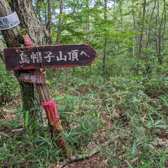 分岐