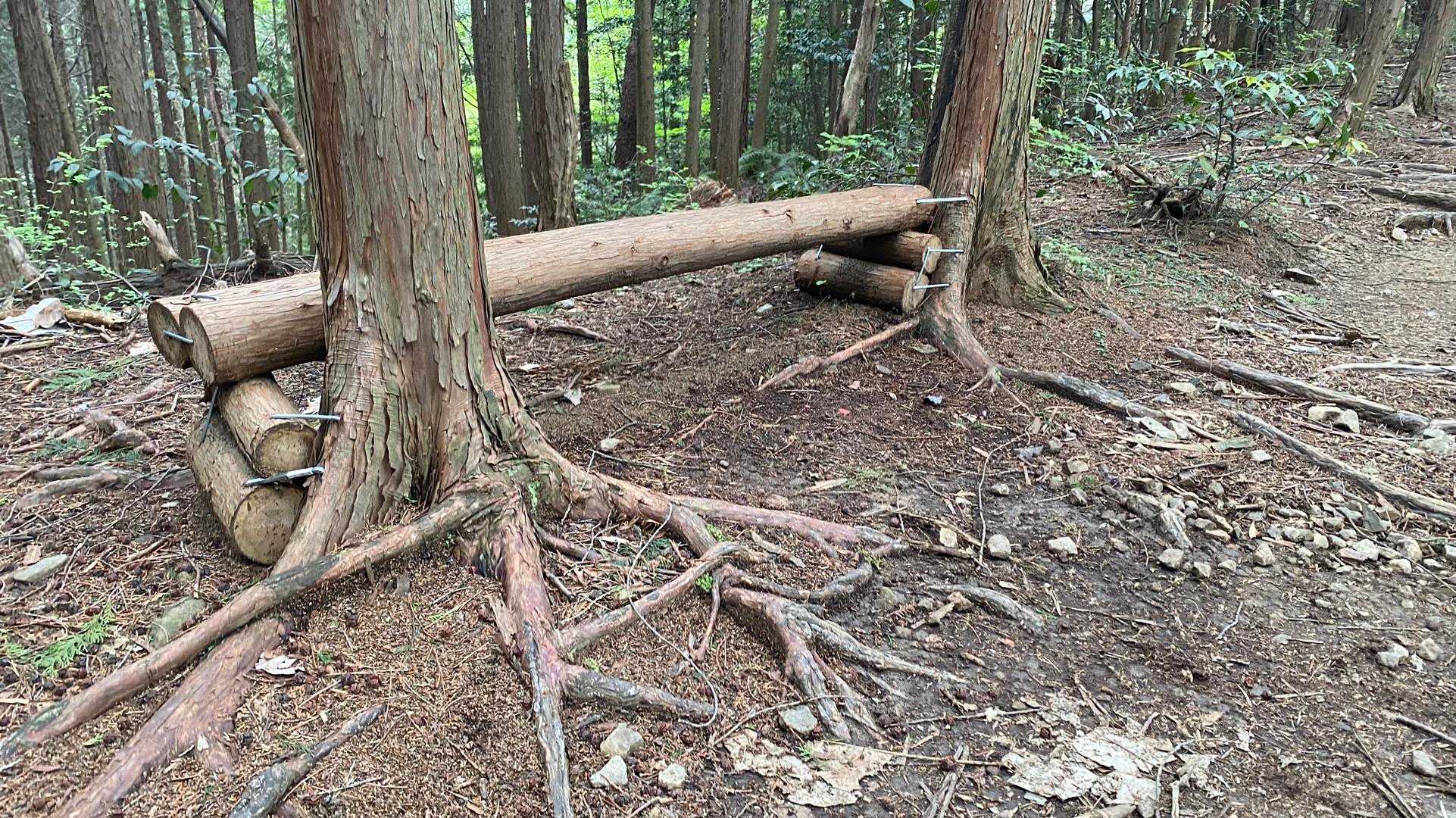 このベンチ自分座らなかったです！