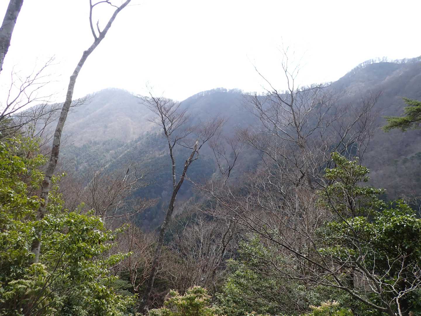 左前方、南東方向には、口迷岳かな