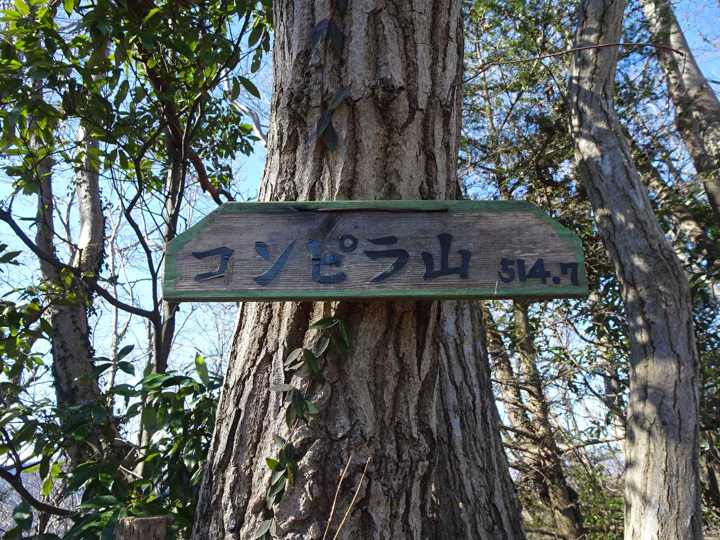 ②コンピラ山
こちらがすき笑