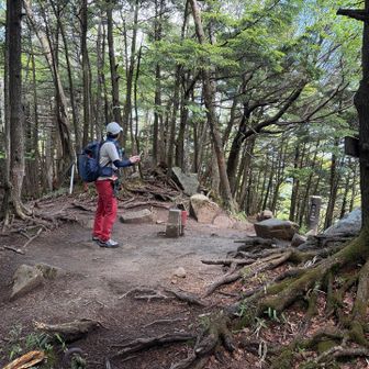 こんなところです⛰️