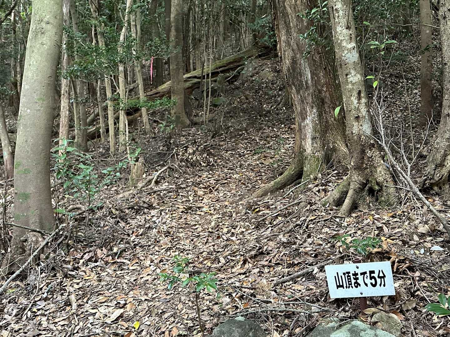 なぜか5分が長く感じます💦