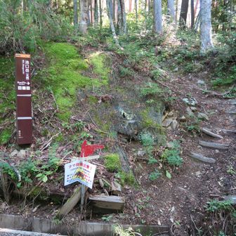 ここからが本格的な登山道スタート