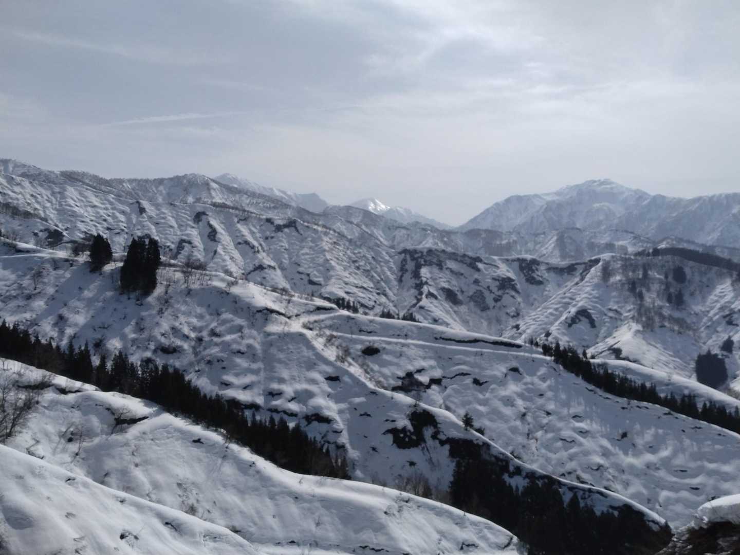 越後三山を見ながら歩くの良い良い🥷💨