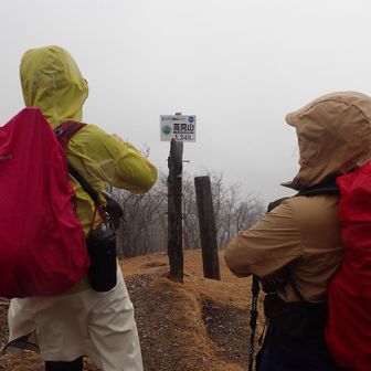 今日のメンバー