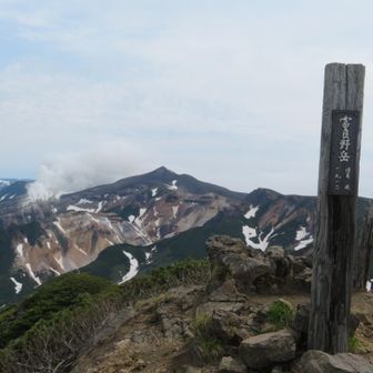花を撮影📸しながら、富良野岳到着。