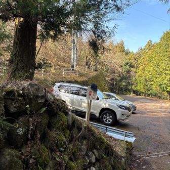 下山。
すれ違いは1組。今日も静かな山でした。