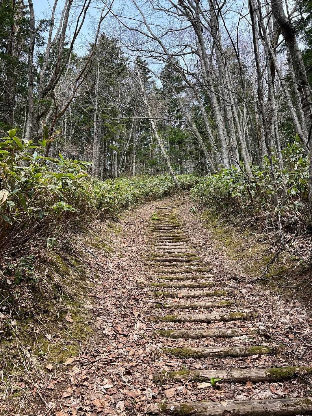 階段を登って行きます