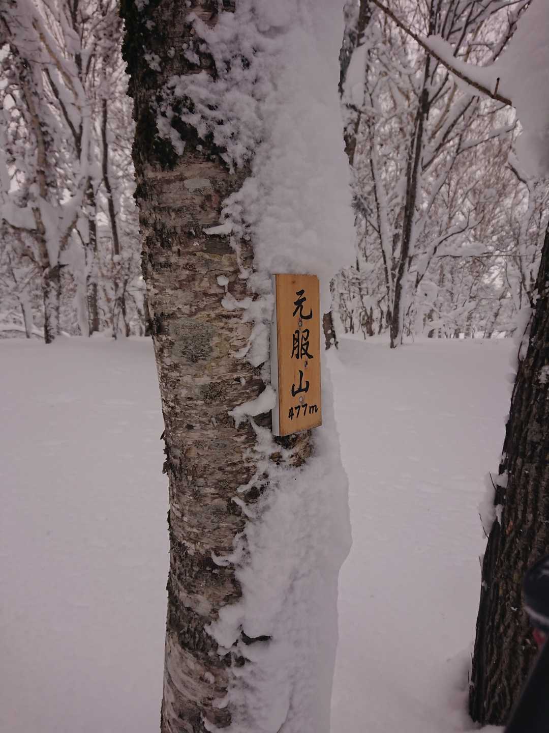 宝探しみたいに標識見つける事だけが楽しかった山行でした。