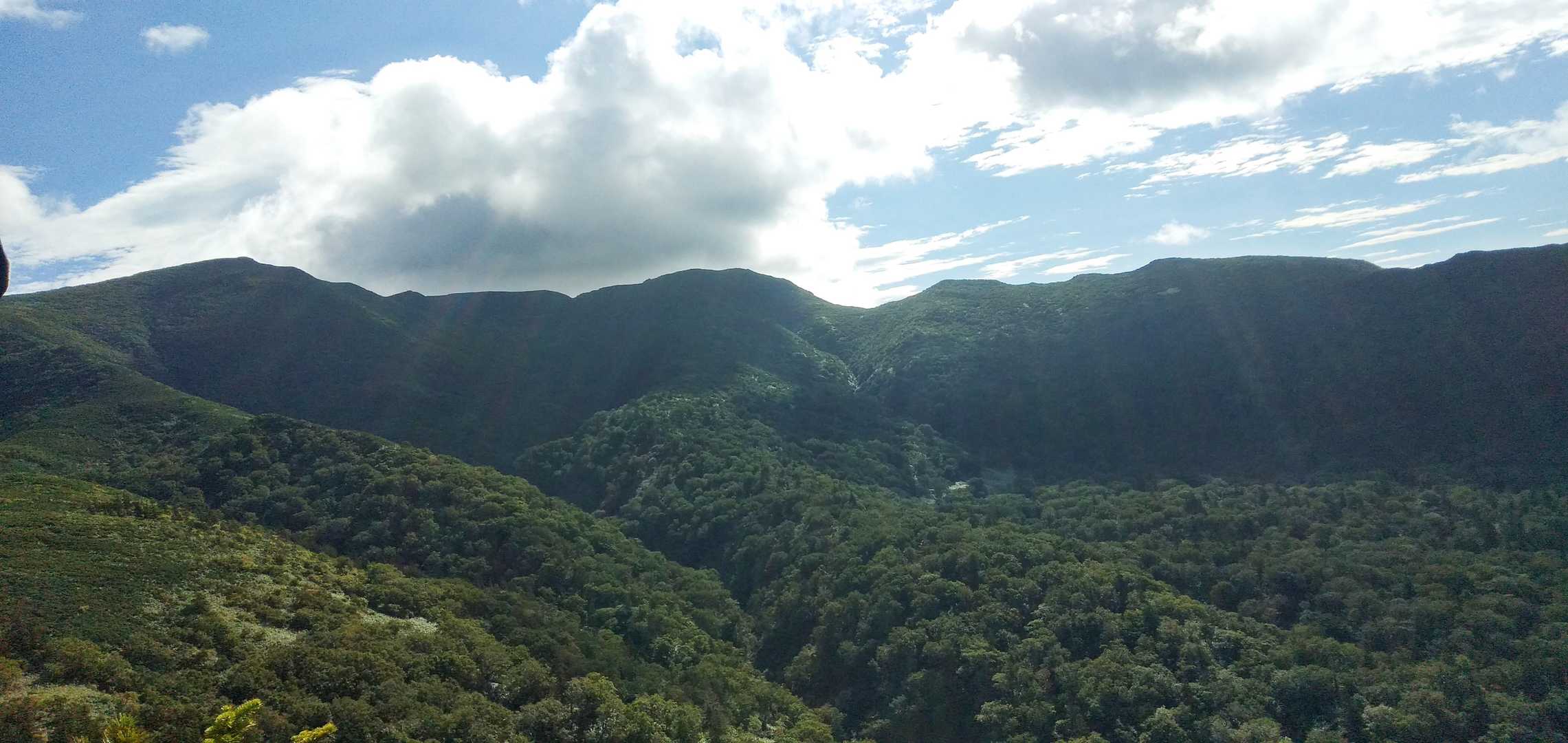 目指す山頂方面は雲☁