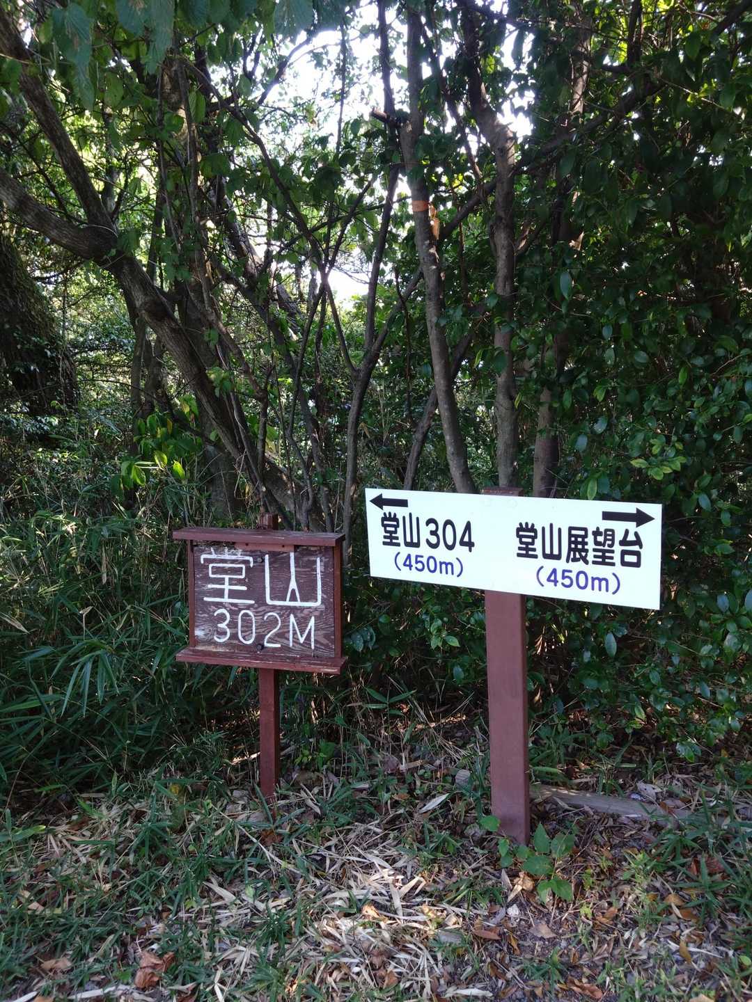 堂山304まで行くつもりでしたが、暑すぎて引き返す。
お疲れ▲でした。