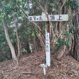 眺望なし…