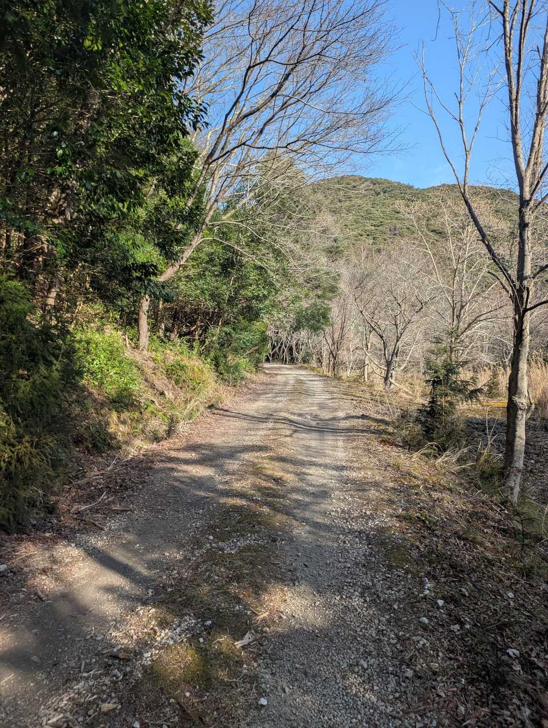 白嶽 往復コースの写真