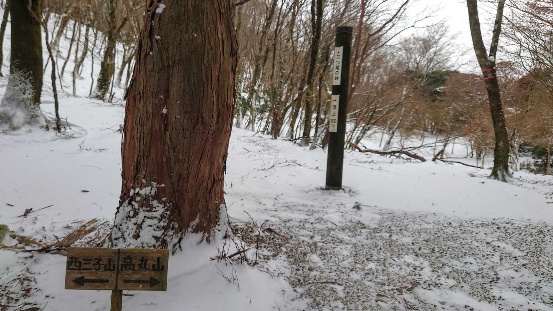 三つ尾の峠
今日の風は半端無い。
風の神様が怒り狂った様な勢いだ。