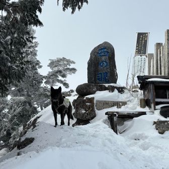 少し晴れてきましたよ。
もっと☀️でろ！