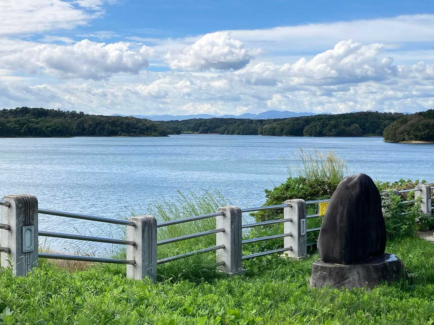 おぉー狭山湖（貯水池）！

始まりからいい景色
手前に東屋、途中にもベンチが数ヶ所
ゆっくり眺めてる方々多い
後で気付いたんだが👀まずここが富士山ビューポイントらしい‥
いつも逃すんだ（もう少し左？）