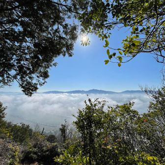 わぁ、雲海のうえに山！みたい！
