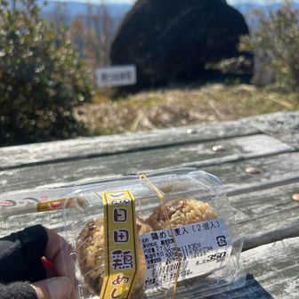 途中のサービスエリアで入手した鶏めし美味しかった(꒪˙꒳˙꒪ )🍙