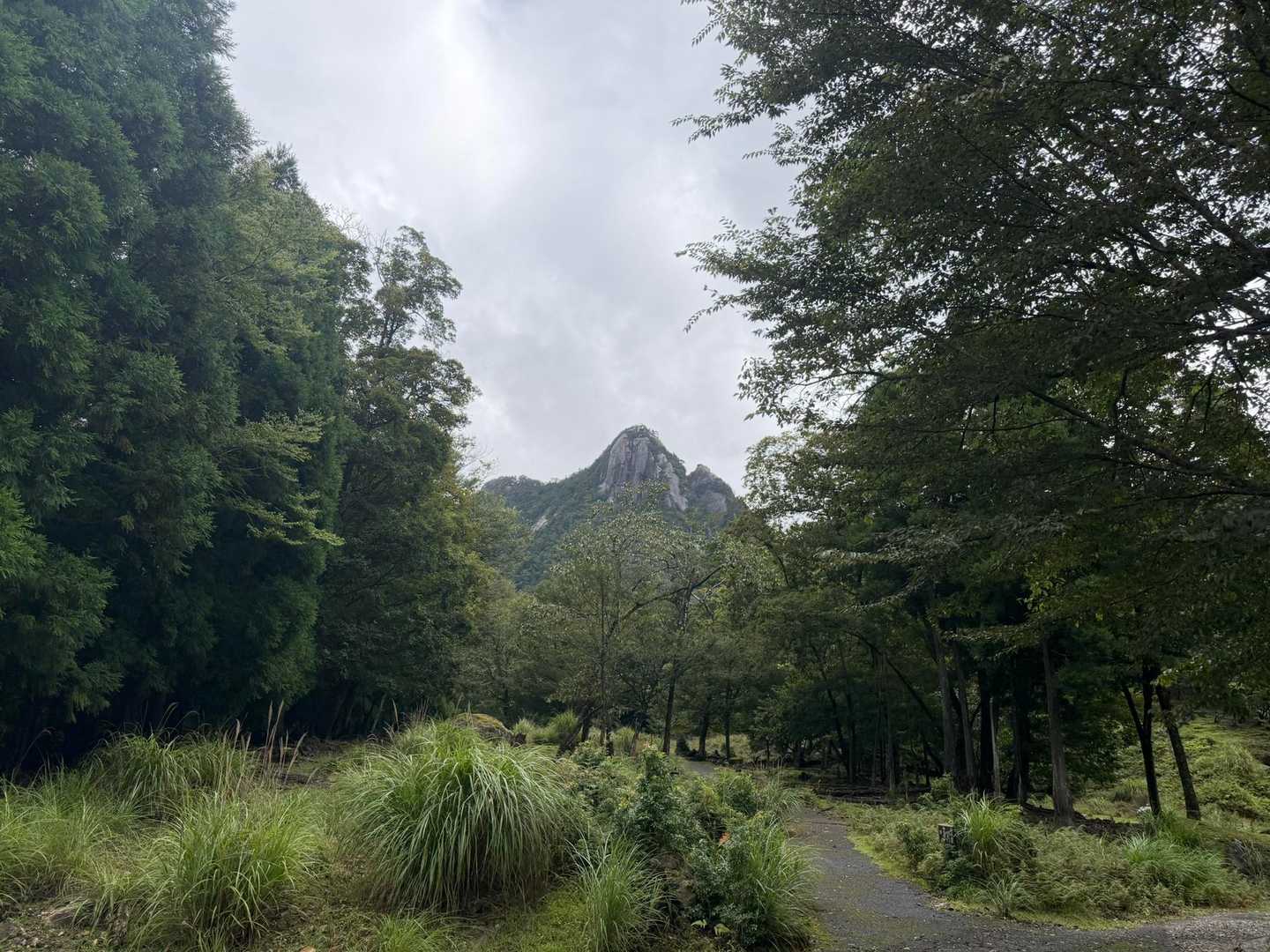無事に下山👍
雨☔でどうなるか心配でしたが、無事に楽しむことができました〜🙌
今日も楽しい山行でした⛰️😊
taku社長、運転ありがとう🚗🙏