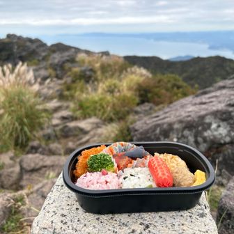 セブンのお弁当ですらステキ