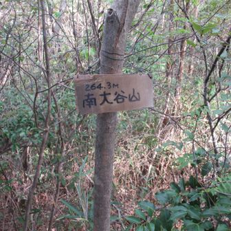 南大谷山 	264m
みなみおおたにやま