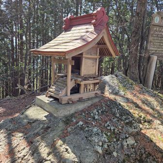 愛宕社の祠(愛宕山山頂)