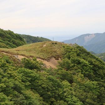 左を見るとボタンブチが見えます
