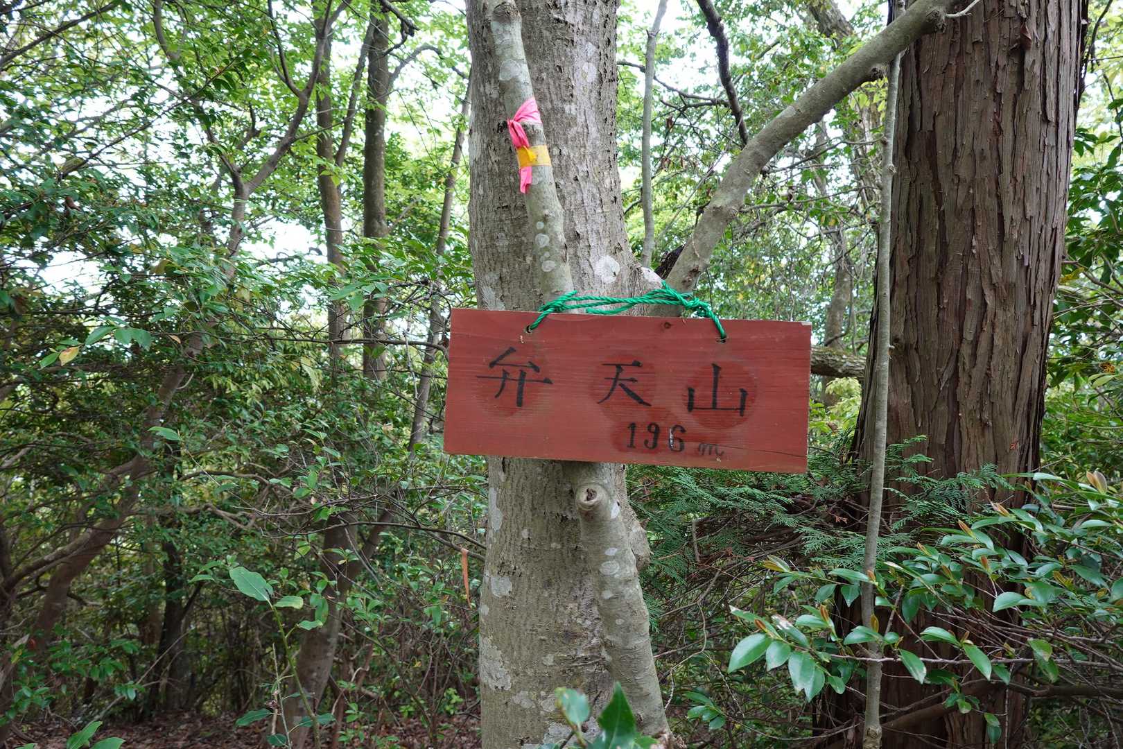 弁天山
展望無し😑