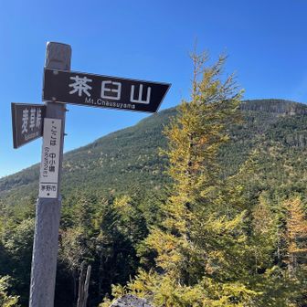 中小場から茶臼山を振り返る
