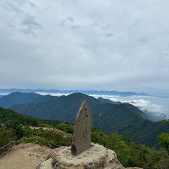 雲海がいいです！