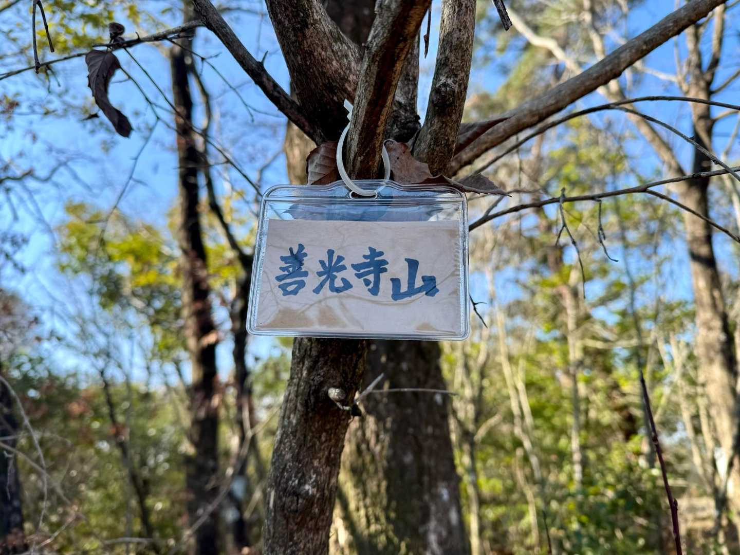 善光寺山