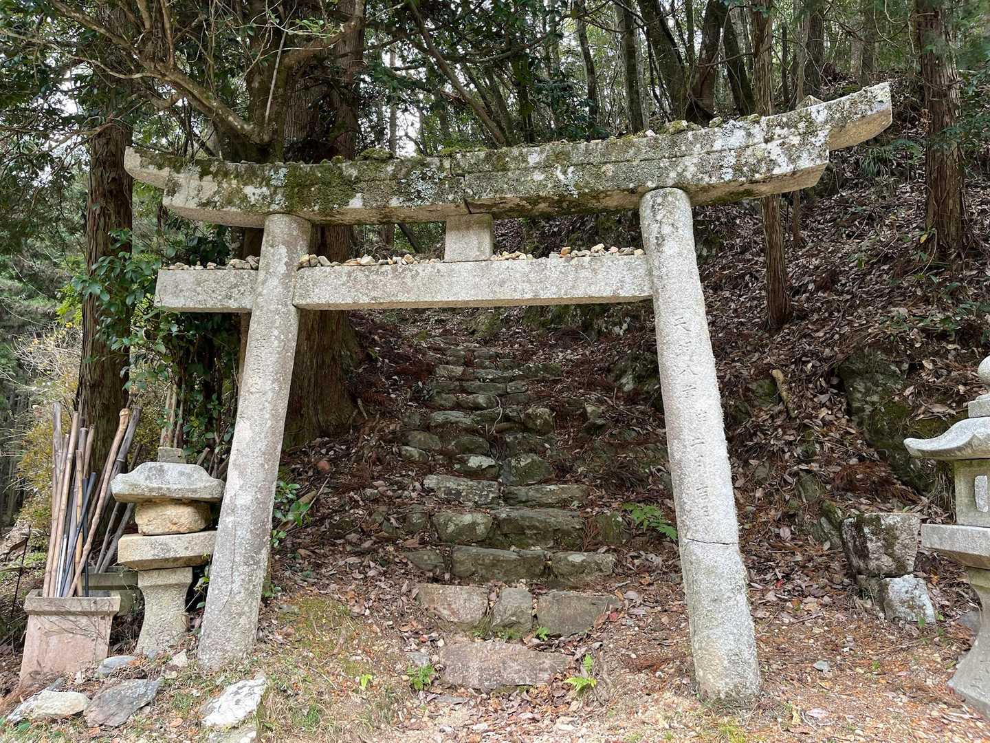 弥山-柏木山 往復コースの写真