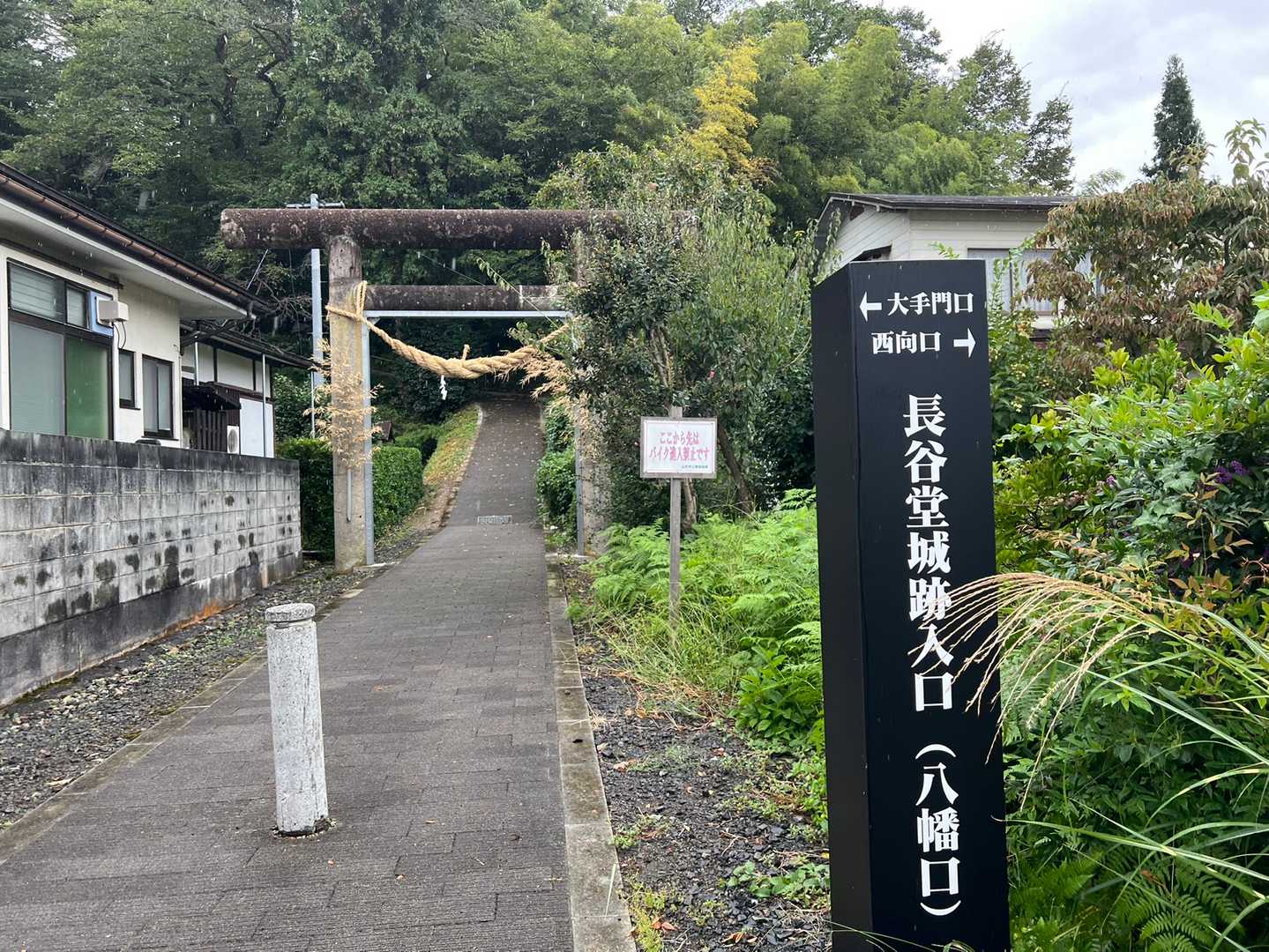 八幡口から入山