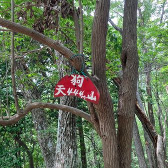 本日のピークハント2つ目。